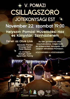 V. Csillagszóró Jótékonysági Est