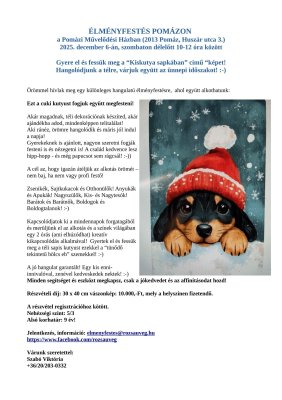 Élményfestés Pomázon