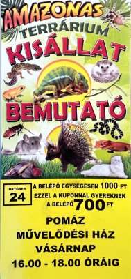 Kisállat bemutató